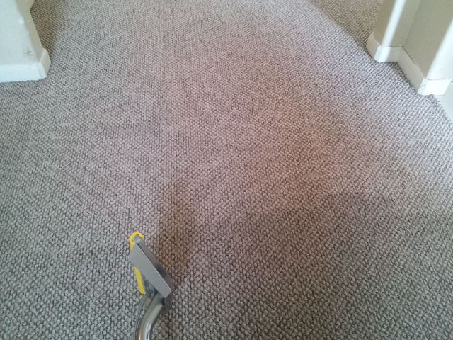Hot Water Extraction before and after on berber carpet